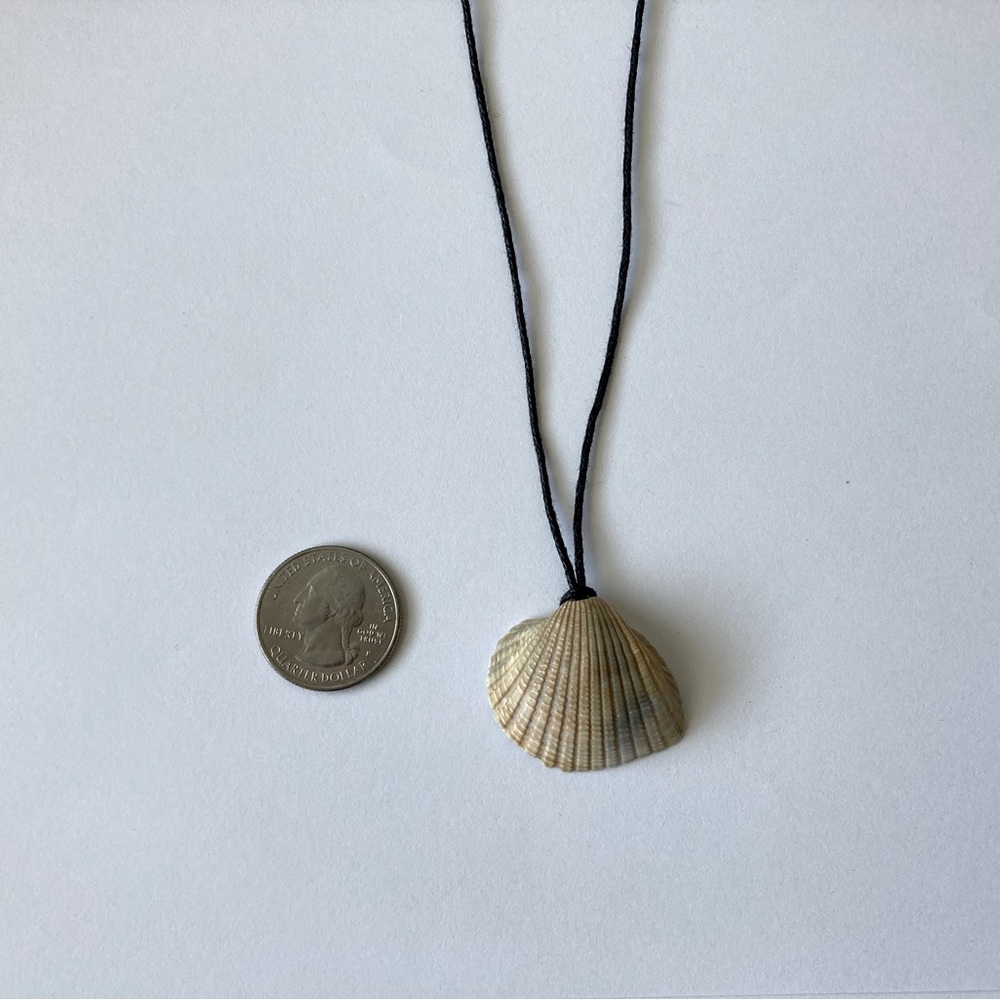 Seashell Pendant Necklace with Black Cord